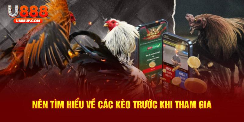 Nên tìm hiểu về các kèo trước khi tham gia