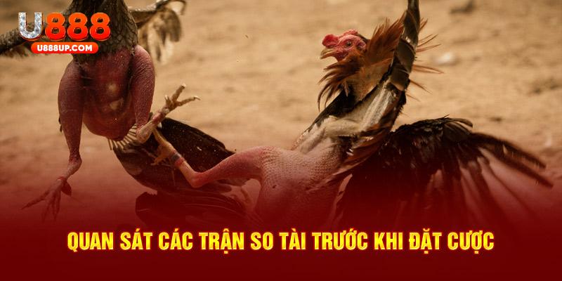 Quan sát các trận so tài trước khi đặt cược