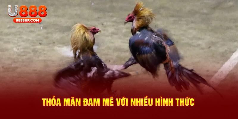 Thỏa mãn đam mê trải nghiệm nhiều hình thức